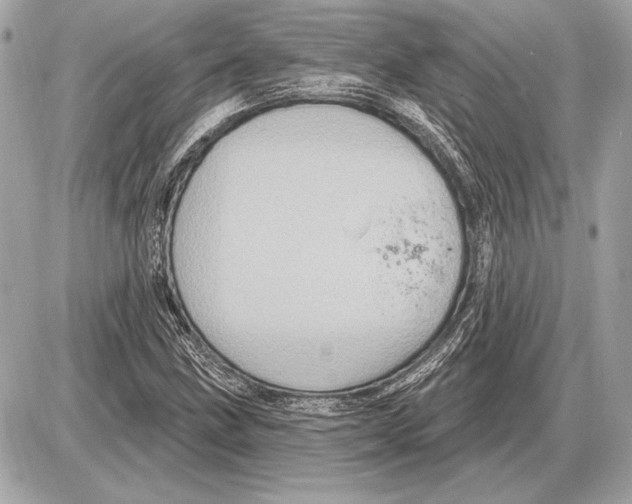 X0000085821211200704091623