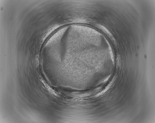 X0000085821212200704091623