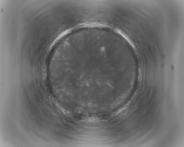 X0000085821213200704091623