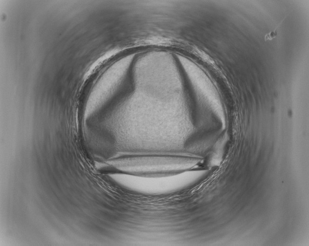 X0000085821214200704091623