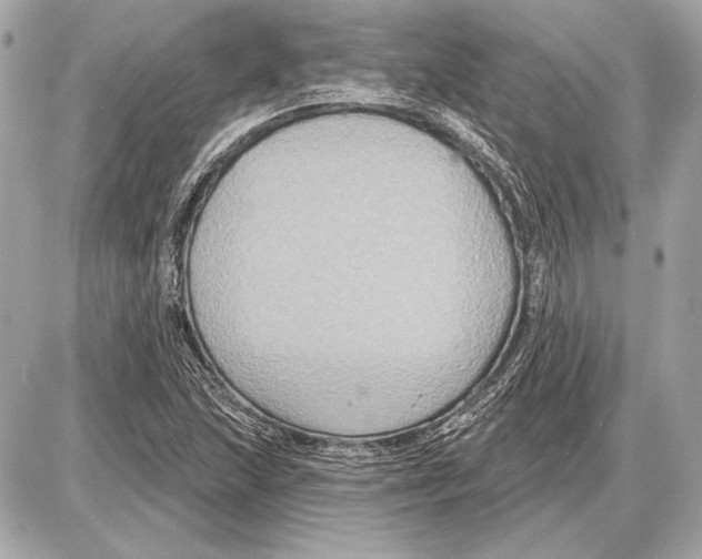 X0000085821215200704091623