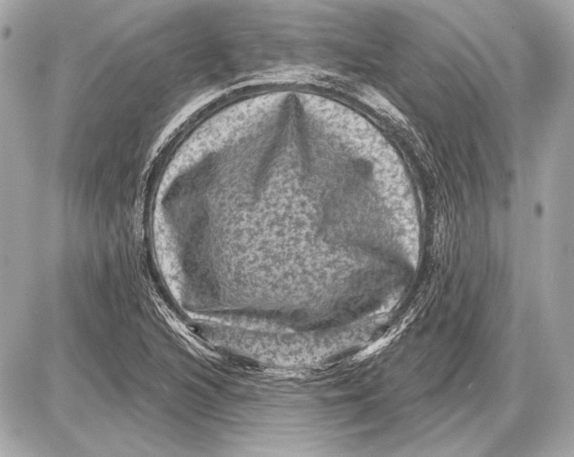 X0000085821216200704091623