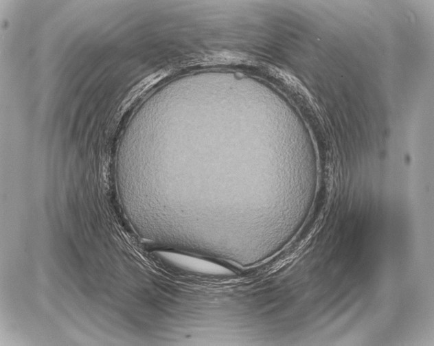 X0000085821217200704091623