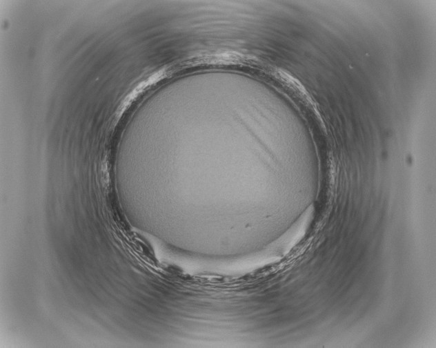 X0000085821218200704091623