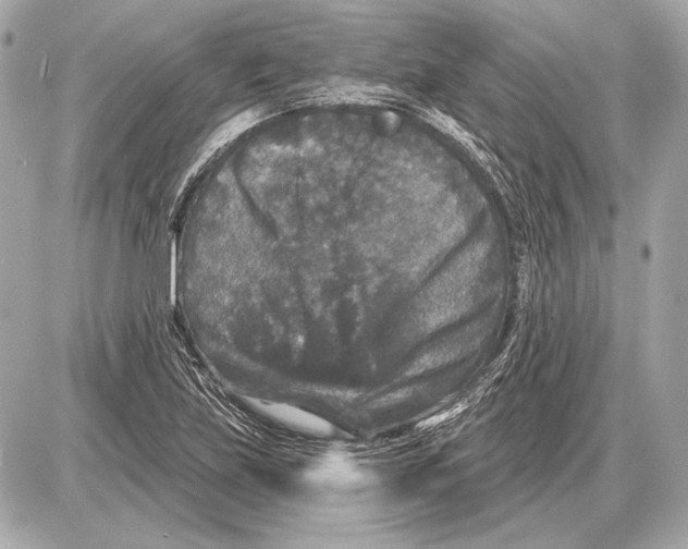 X0000085821219200704091624