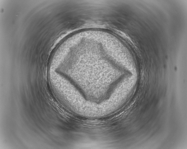 X0000085821220200704091624