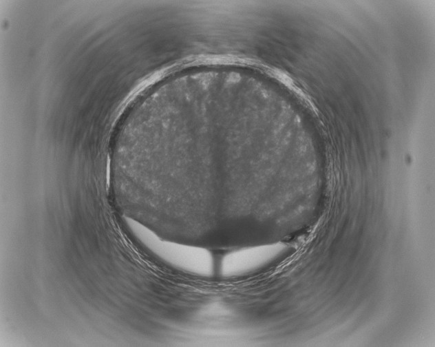 X0000085821221200704091624