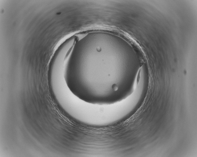 X0000085821222200704091624