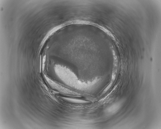 X0000085821223200704091624