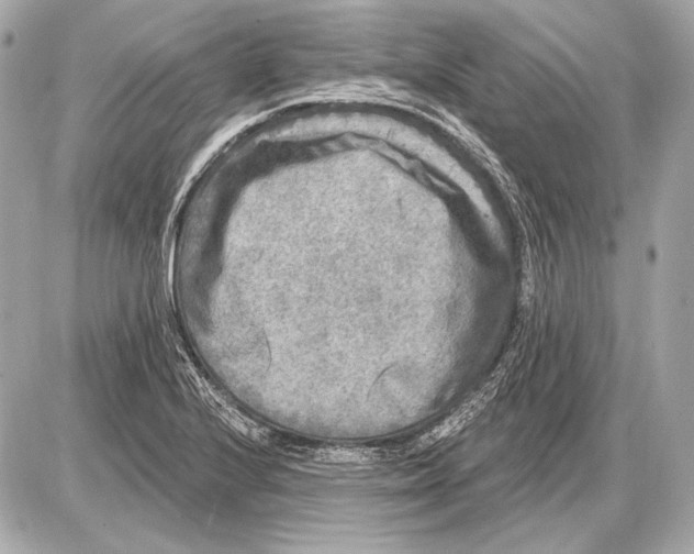 X0000085821224200704091624