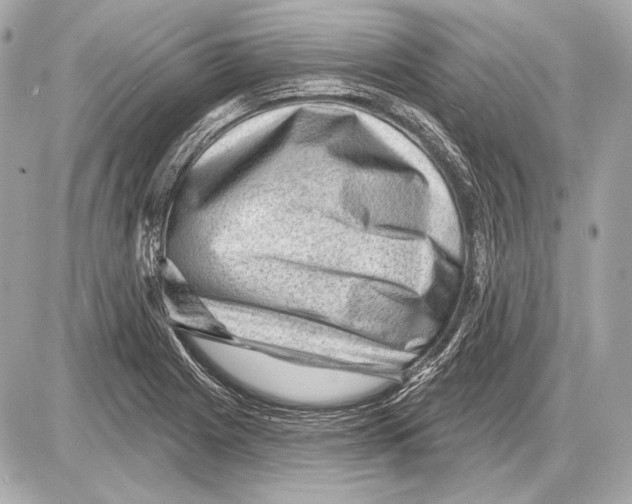 X0000085821225200704091624