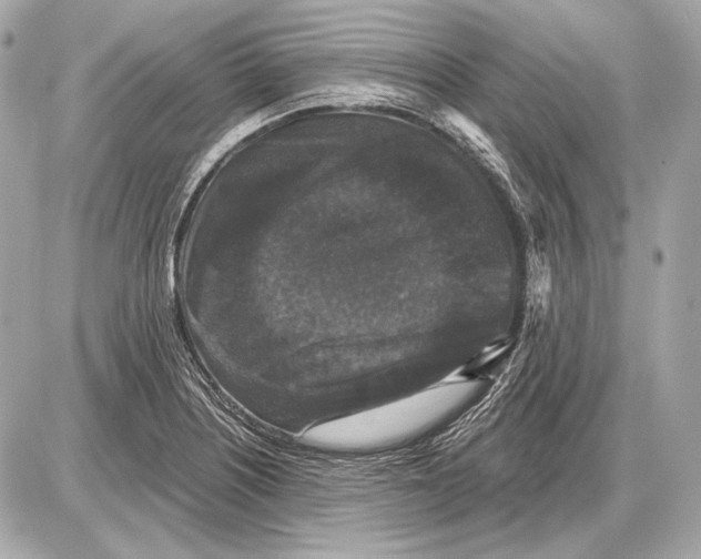 X0000085821226200704091624