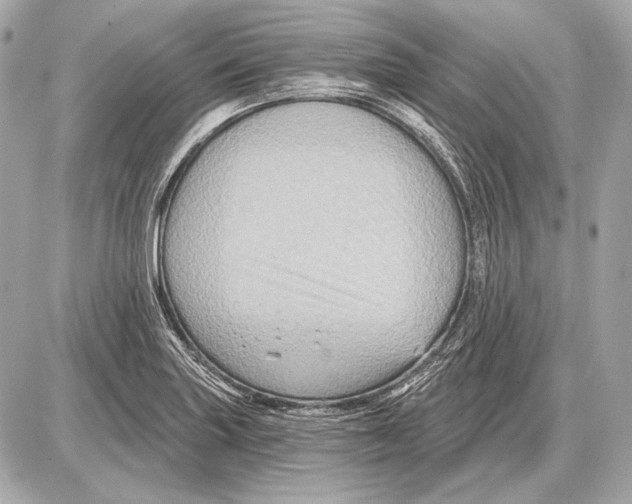 X0000085821227200704091624