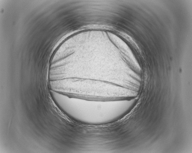 X0000085821228200704091624