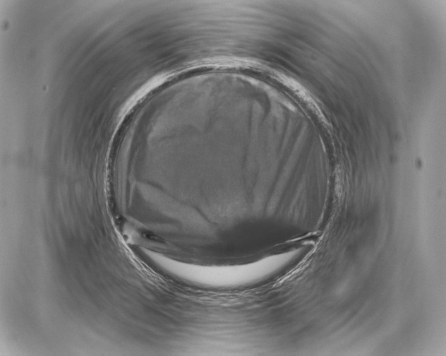 X0000085821229200704091624