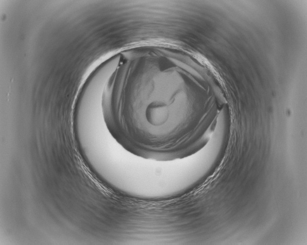 X0000085821230200704091624