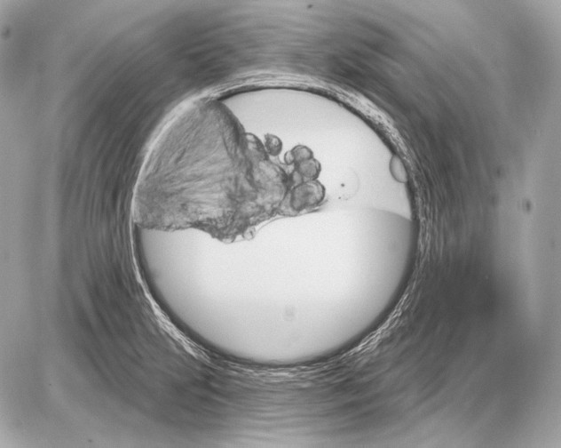 X0000085821231200704091624