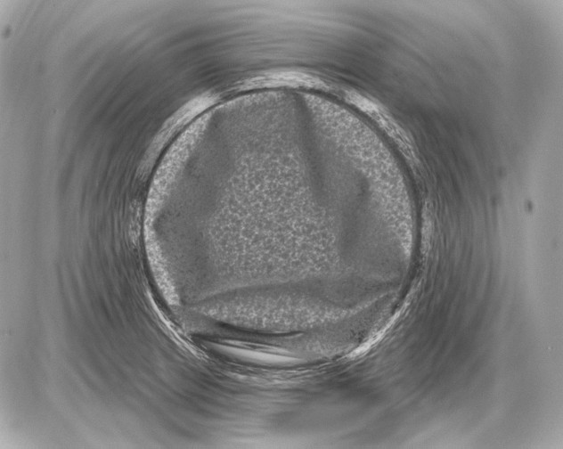 X0000085821233200704091624