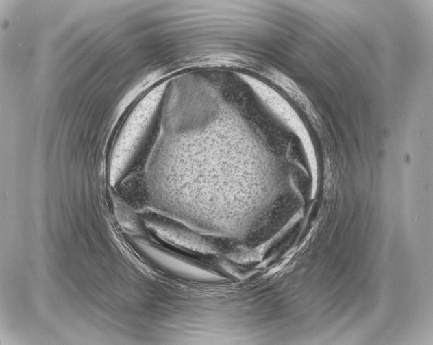 X0000085821234200704091624