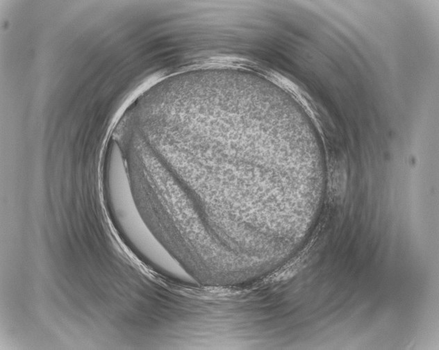 X0000085821235200704091624