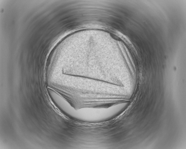 X0000085821236200704091624