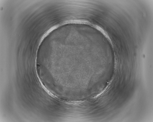 X0000085821237200704091624