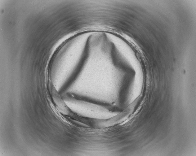 X0000085821238200704091624