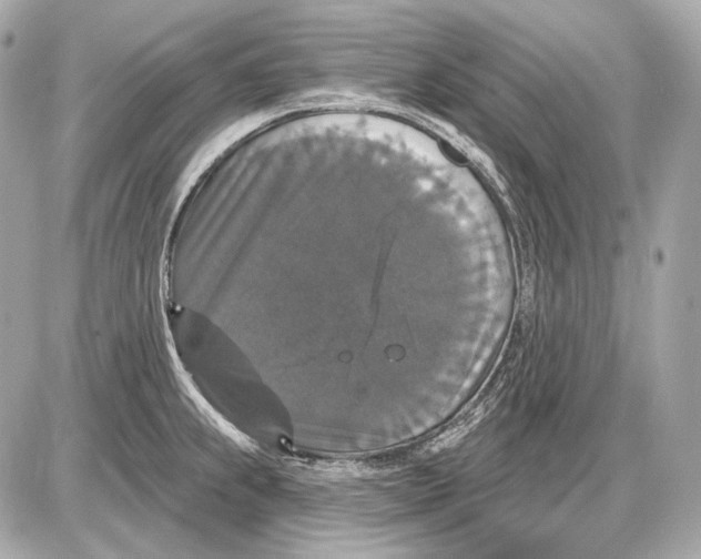 X0000085821239200704091624