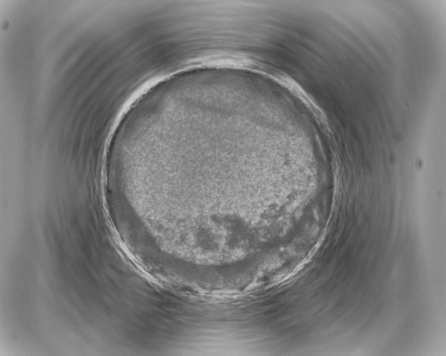 X0000085821240200704091624