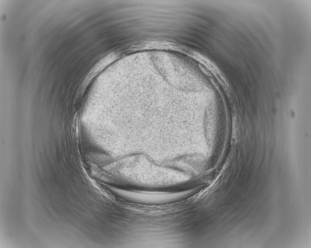 X0000085821241200704091624