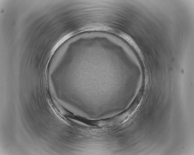 X0000085821242200704091624