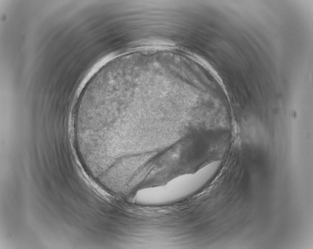 X0000085821243200704091624