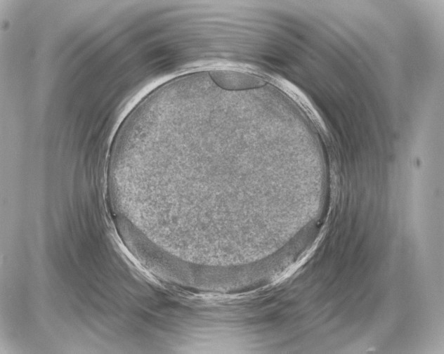 X0000085821244200704091624