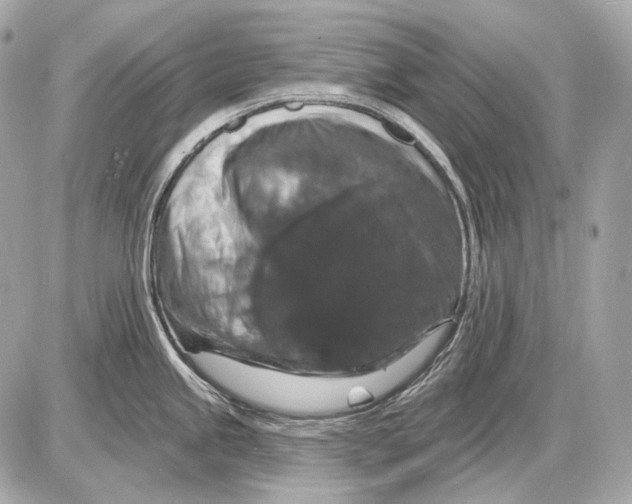 X0000085821245200704091624