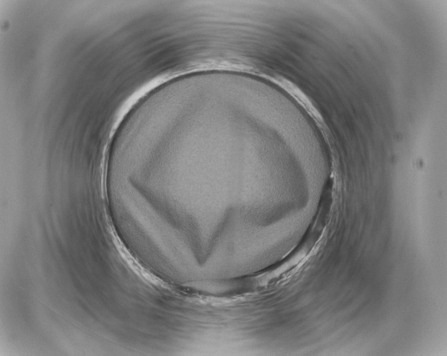 X0000085821246200704091624