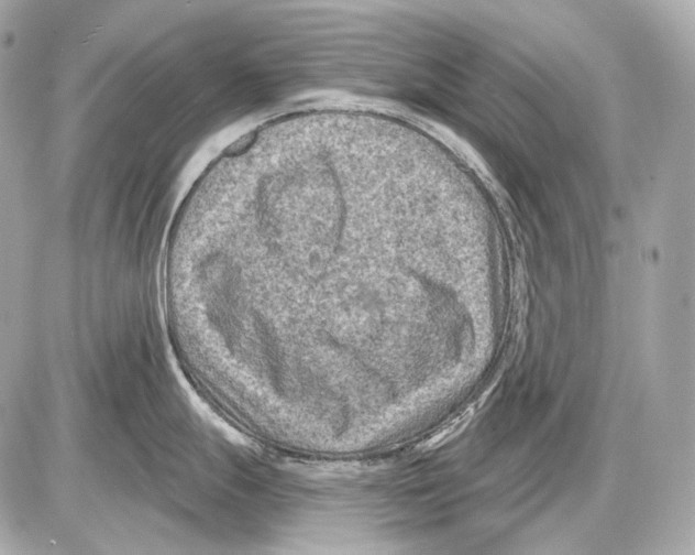 X0000085821247200704091624