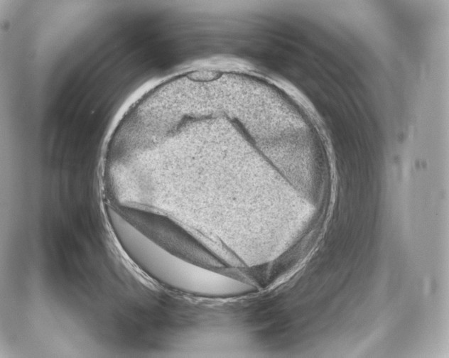 X0000085821248200704091624