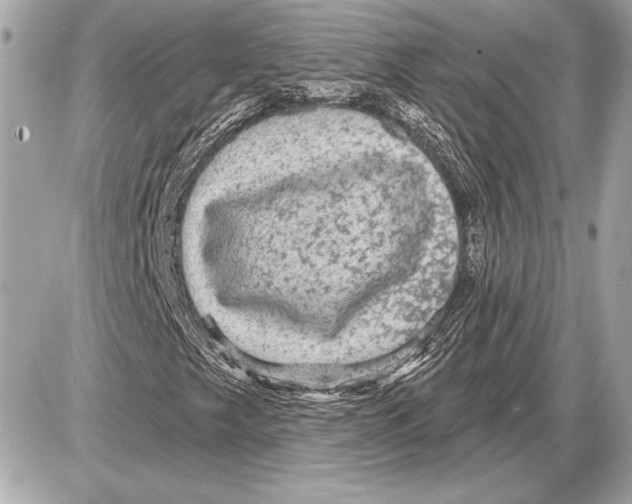 X0000085821249200704091623