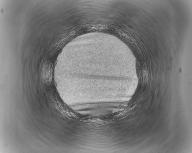 X0000085821250200704091623