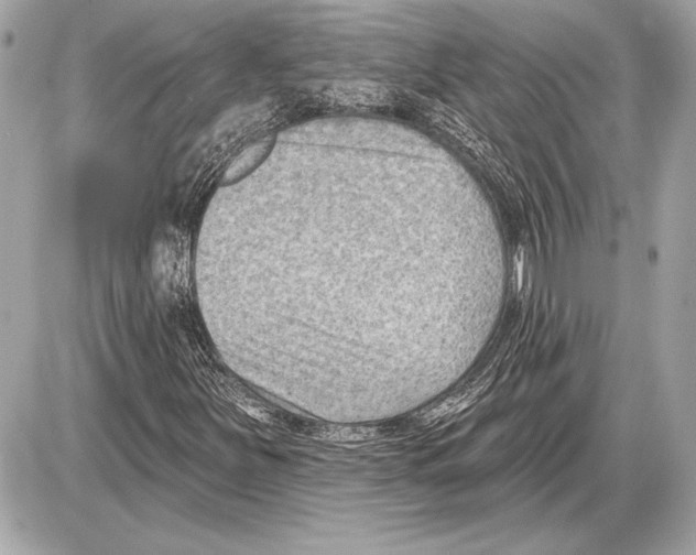 X0000085821251200704091623