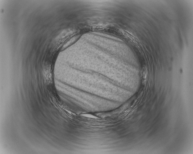 X0000085821252200704091623