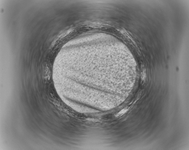 X0000085821253200704091623