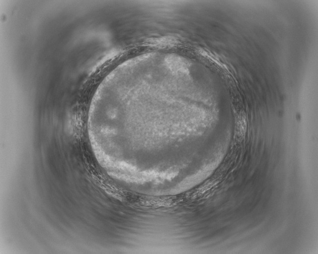 X0000085821254200704091623