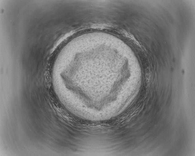 X0000085821256200704091623