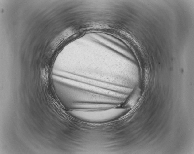 X0000085821257200704091623