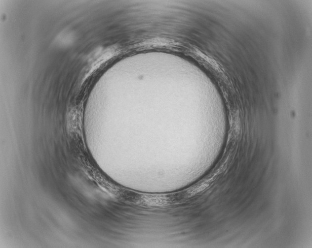 X0000085821258200704091623