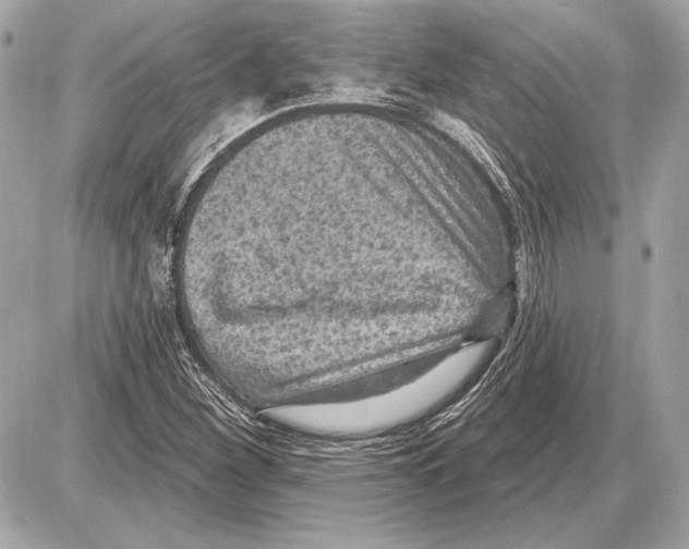 X0000085821260200704091623