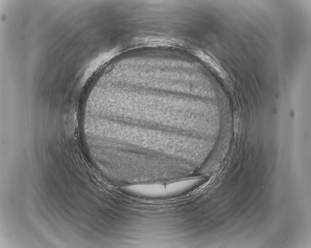 X0000085821261200704091623