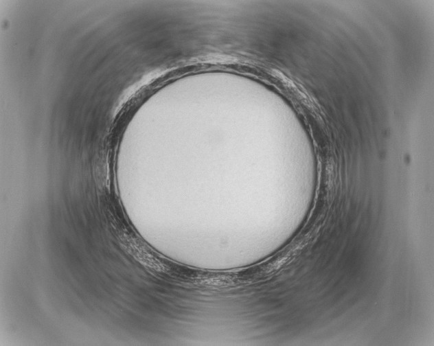 X0000085821262200704091623