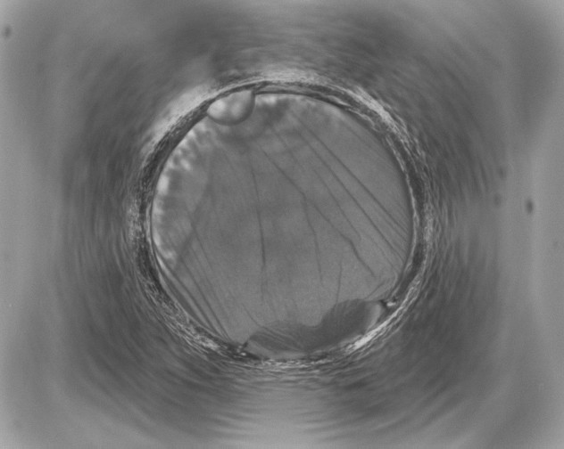 X0000085821263200704091623